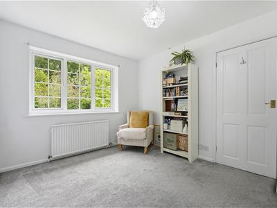 Picture 24